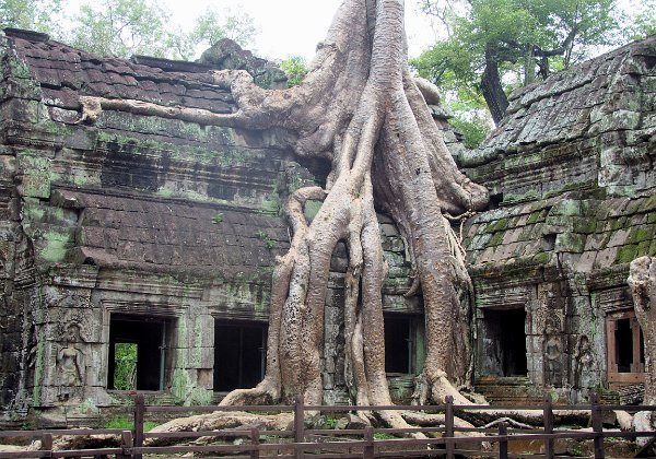 Ta Prohm